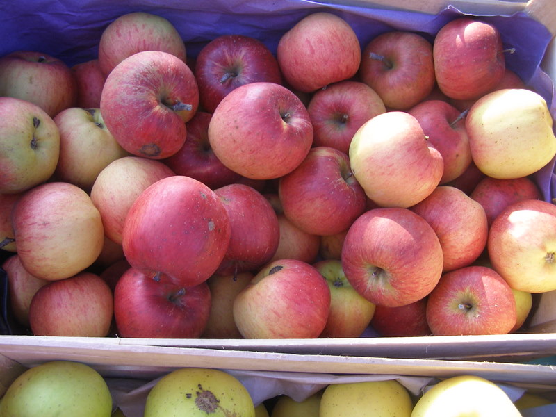 Caisse de pommes Melrose