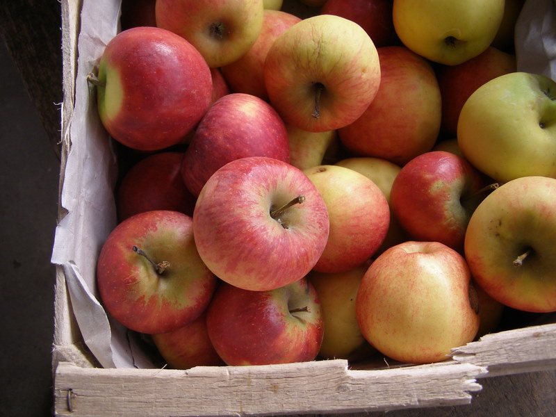 Caisse de pommes Elstar