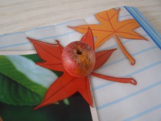 Pomme FUJI