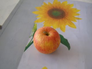 Pommes Pinova