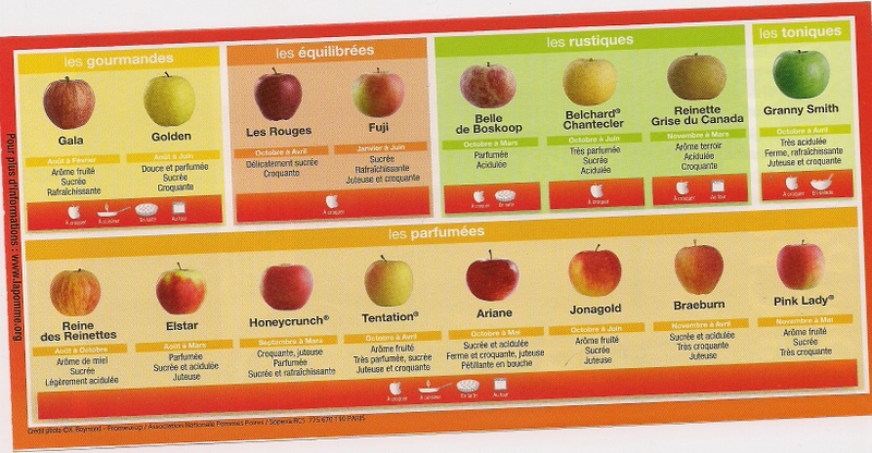Tableau Comparatif Des Vari t s De Pommes Implantation D un Tableau Comparatif Des Vari t s De Pommes Implantation D un